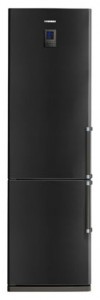 Samsung RL-41 ECTB šaldytuvas nuotrauka, Info