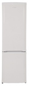BEKO CSA 31021 Холодильник фото, Характеристики