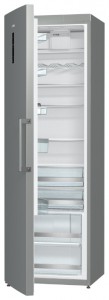 Gorenje R 6191 SX Refrigerator larawan, katangian