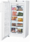 Liebherr GN 2613 Ψυγείο \ χαρακτηριστικά, φωτογραφία