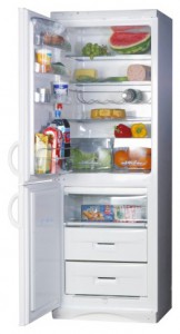 Snaige RF390-1803A Холодильник Фото, характеристики