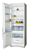 Snaige RF315-1T03А Холодильник фото, Характеристики