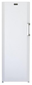 BEKO FN 127920 Refrigerator larawan, katangian