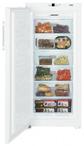 Liebherr GN 3113 Tủ lạnh ảnh, đặc điểm