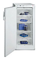 Bosch GSD2201 Refrigerator larawan, katangian