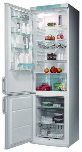 Electrolux ERB 9042 Refrigerator larawan, katangian