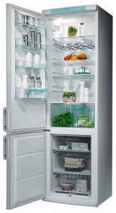 Electrolux ERB 9041 Refrigerator larawan, katangian