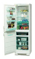 Electrolux ERB 3109 Refrigerator larawan, katangian