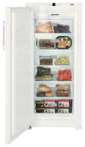 Liebherr GNP 3113 Refrigerator larawan, katangian