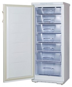 Бирюса 146KLNE Tủ lạnh ảnh, đặc điểm