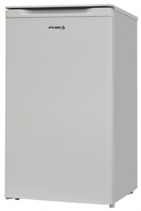 Delfa BD-80 Kjøleskap Bilde, kjennetegn