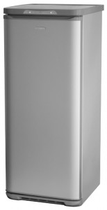Бирюса M146SN ตู้เย็น รูปถ่าย, ลักษณะเฉพาะ