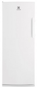 Electrolux EUF 2047 AOW Refrigerator larawan, katangian