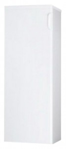 Hisense RS-25WC4SAW Refrigerator larawan, katangian