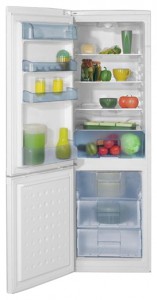BEKO CS 332020 Tủ lạnh ảnh, đặc điểm