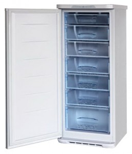 Бирюса 146SN Tủ lạnh ảnh, đặc điểm