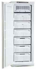 Indesit SFR 167 NF Refrigerator larawan, katangian