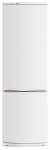 ATLANT ХМ 6021-031 Refrigerator larawan, katangian