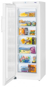 Liebherr GP 2733 Refrigerator larawan, katangian