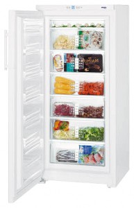 Liebherr G 3013 Refrigerator larawan, katangian