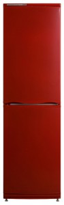 ATLANT ХМ 6025-030 Холодильник Фото, характеристики