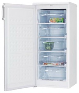 Hansa FZ206.3 Tủ lạnh ảnh, đặc điểm