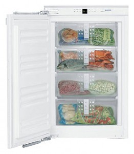 Liebherr IG 1156 Tủ lạnh ảnh, đặc điểm
