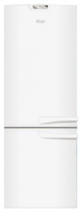 Pozis RK-125 Refrigerator larawan, katangian