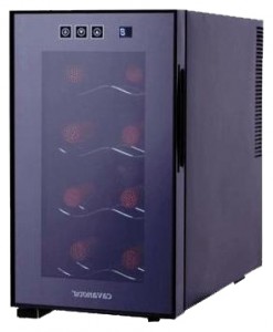 Cavanova CV-008 Tủ lạnh ảnh, đặc điểm