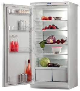 Pozis Свияга 513-3 Холодильник Фото, характеристики