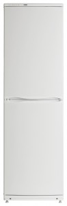 ATLANT ХМ 6093-031 Холодильник Фото, характеристики