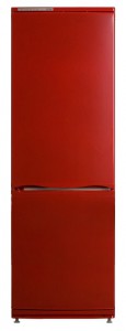 ATLANT ХМ 6021-030 Refrigerator larawan, katangian