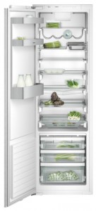 Gaggenau RC 289-203 Refrigerator larawan, katangian