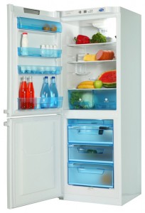 Pozis RK-124 Refrigerator larawan, katangian