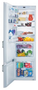 V-ZUG KCi-r Tủ lạnh ảnh, đặc điểm