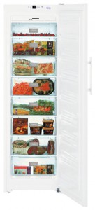 Liebherr SGN 3063 Холодильник фото, Характеристики