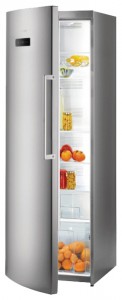 Gorenje R 6181 TX Refrigerator larawan, katangian