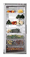 Gaggenau SK 211-140 Refrigerator larawan, katangian
