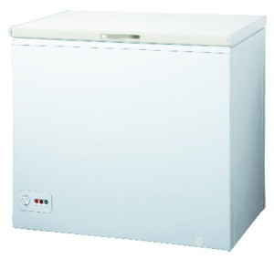 Delfa DCF-198 Tủ lạnh ảnh, đặc điểm