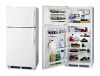 Frigidaire FGTG 16V6 A Refrigerator larawan, katangian