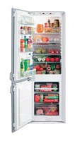 Electrolux ERN 2921 Buzdolabı fotoğraf, özellikleri
