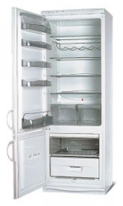 Snaige RF315-1703A Tủ lạnh ảnh, đặc điểm