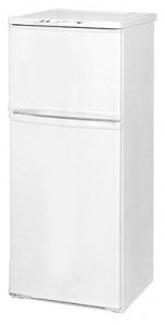 NORD 243-010 Refrigerator larawan, katangian