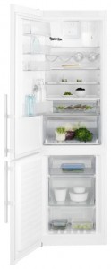 Electrolux EN 93852 KW Холодильник Фото, характеристики