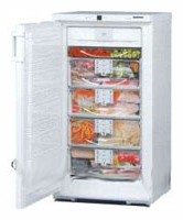 Liebherr GSN 2026 Refrigerator larawan, katangian