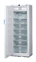 Liebherr GSND 3323 Refrigerator larawan, katangian