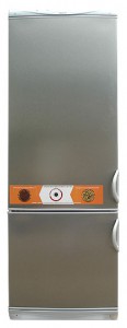 Snaige RF315-1573A Refrigerator larawan, katangian