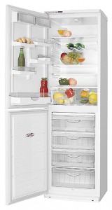 ATLANT ХМ 6025-001 Refrigerator larawan, katangian
