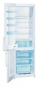 Bosch KGV39X00 Refrigerator larawan, katangian