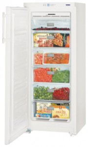 Liebherr GNP 2303 Tủ lạnh ảnh, đặc điểm
